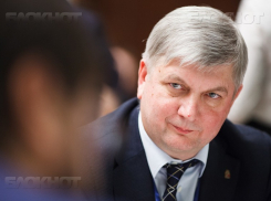 Воронежский глава региона разделил, что осталось от Максима Увайдова