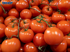Выращиваем помидоры, сладкие как мёд