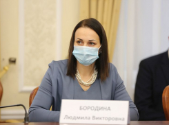 Более 2,5 млн рублей ущерба принесла незаконная рубка деревьев в воронежской Отрожке