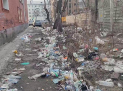 Проблема с мусором достигла невыносимых масштабов в Воронеже