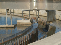 Стало известно, когда Воронеж может перестать вонять