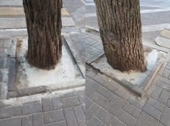 Рабочие зацементировали клумбы с деревьями в центре Воронежа