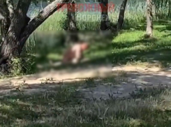 Парочка занялась сексом рядом с детской площадкой под Воронежем