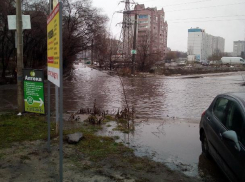 Воронежцы тонут на улице Артамонова в луже и удивляются слепоте властей