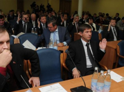 Как в Воронеже обсуждали, почему депутатов городской Думы надо лишить зарплаты