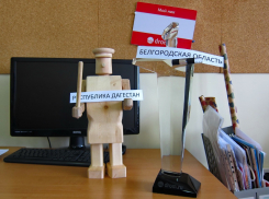 Работу сотрудников ГИБДД Воронежской области оценили на «тройку»