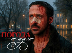 Бредущие по лужам: прогноз погоды на неделю в Воронеже