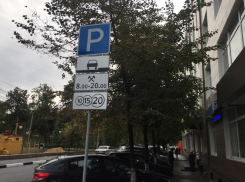 Бойкот центра Воронежа объявили горожане из-за платных парковок 