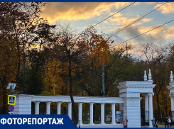 Неподдельную красоту показали на фото в Воронеже 