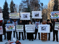 Воронежцы вышли на пикет в защиту активиста антиникелевого движения Игоря Житенева (ФОТО)