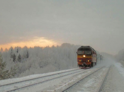 Через Воронеж будет ходить новогодний поезд «Москва-Адлер»