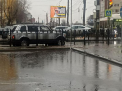 Плаваем каждую осень и весну: на старинную лужу пожаловались воронежцы