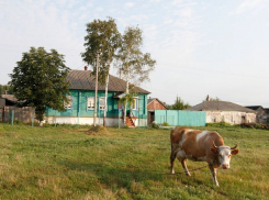 В Воронеже намерены активно способствовать развитию сельской культуры региона
