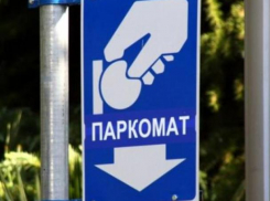 Власти Воронежа рассказали, на что потратят заработанные на платных парковках деньги