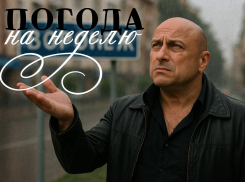 Погода от шефа: фирменная неделя с ноябрьским акцентом для Воронежа