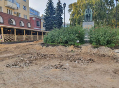 Стало известно, что власти хотят сделать с брусчаткой в центре Воронежа