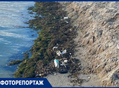 Зловонная тина и мусор: опубликованы кадры неприглядной стороны Петровской набережной Воронежа