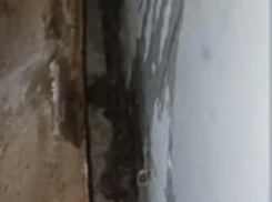 Настоящим кошмаром обернулся ремонт кровли для жильцов воронежского дома