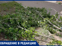«Случилось бы непоправимое»: ветер устроил бедлам у школы в Воронеже 