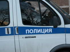 В Воронежской области поймали насильника 20-летней девушки
