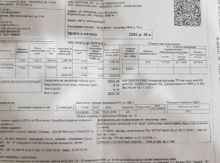 На резкий рост коммунальных услуг пожаловались в Воронеже