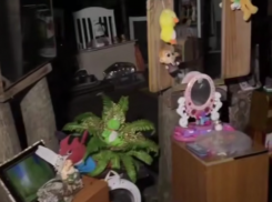 Души демонов: «алтарь» из детских игрушек заметили в Воронеже