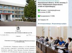 Коронавирус в Воронеже 3 июля: +151 зараженный, ковидная слава на всю Россию и продление самоизоляции 