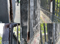 «Пожиратели металла»: сообщается о похищении чугуна с ограды Первомайского сада Воронежа