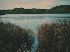 При попытке переплыть реку в Воронежской области снова утонул мужчина