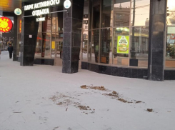 Подозрительные коричневые кучи обнаружили у «Пролетария» в Воронеже 