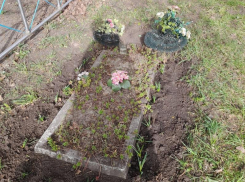 О странном исчезновении памятника с могилы сельского кладбища сообщили в Воронежской области 