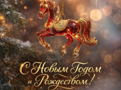 «ВЫБОР» поздравил воронежцев с Новым годом и Рождеством