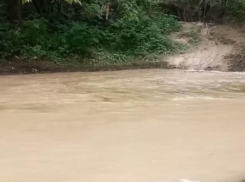 «Это просто безобразие», – «молочные» реки возмутили людей под Воронежем