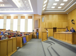 Депутаты потренировались на Ротенберге спорить с чиновниками воронежского правительства 