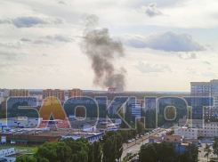 Причину появления огромных клубов чёрного дыма в Воронеже раскрыли в МЧС
