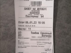 Дочка замерзла так, что даже заплакала: жительница Воронежа рассказала об ужасной поездке на автобусе