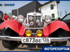 Крутые тачки и аппетитный стритфуд: в Воронеже прошел фестиваль «Еда и моторы»