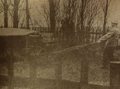 Первые воронежские фермеры были поставлены властью на грань выживания