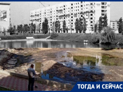 Яркий пример созидательного труда расположился на левом берегу Воронежа