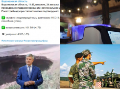 Коронавирус в Воронеже 24 августа: + 463 заболевших, роботы-дезинфекторы и мировой рекорд сборной России