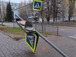 Светофор “занялся гимнастикой” на улице в Воронеже