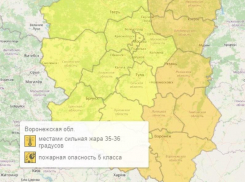 Оранжевый уровень опасности объявили из-за погоды в Воронеже и области