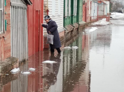 Без воды и на воде: второй город Воронежской области опять превратился в «Венецию»