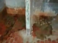 На фекальную разруху в интернате отреагировали в правительстве Воронежской области