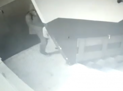 Педофила, напавшего на воронежскую школьницу в подъезде, отправили в СИЗО 