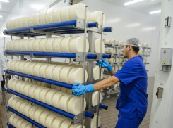 Новый сыродельный завод за 2 млрд рублей появится в Воронежской области