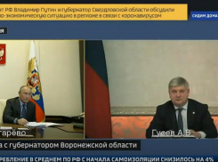 Владимир Путин послал Александра Гусева в Минтранс