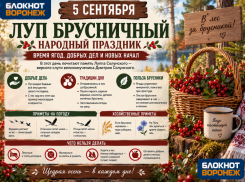 Брусника, журавли и заморозки: как проводили раньше 5 сентября