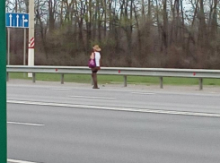 Загадочного человека в стрингах, колготках и шляпе заметил на воронежской трассе  