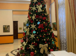 Главную елку в воронежском правительстве показали на фото 